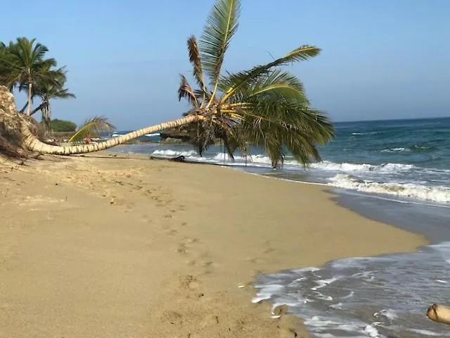 2 Bedroom Apartment With A Large Terrace With Ocean Views And Pool Access Cabarete